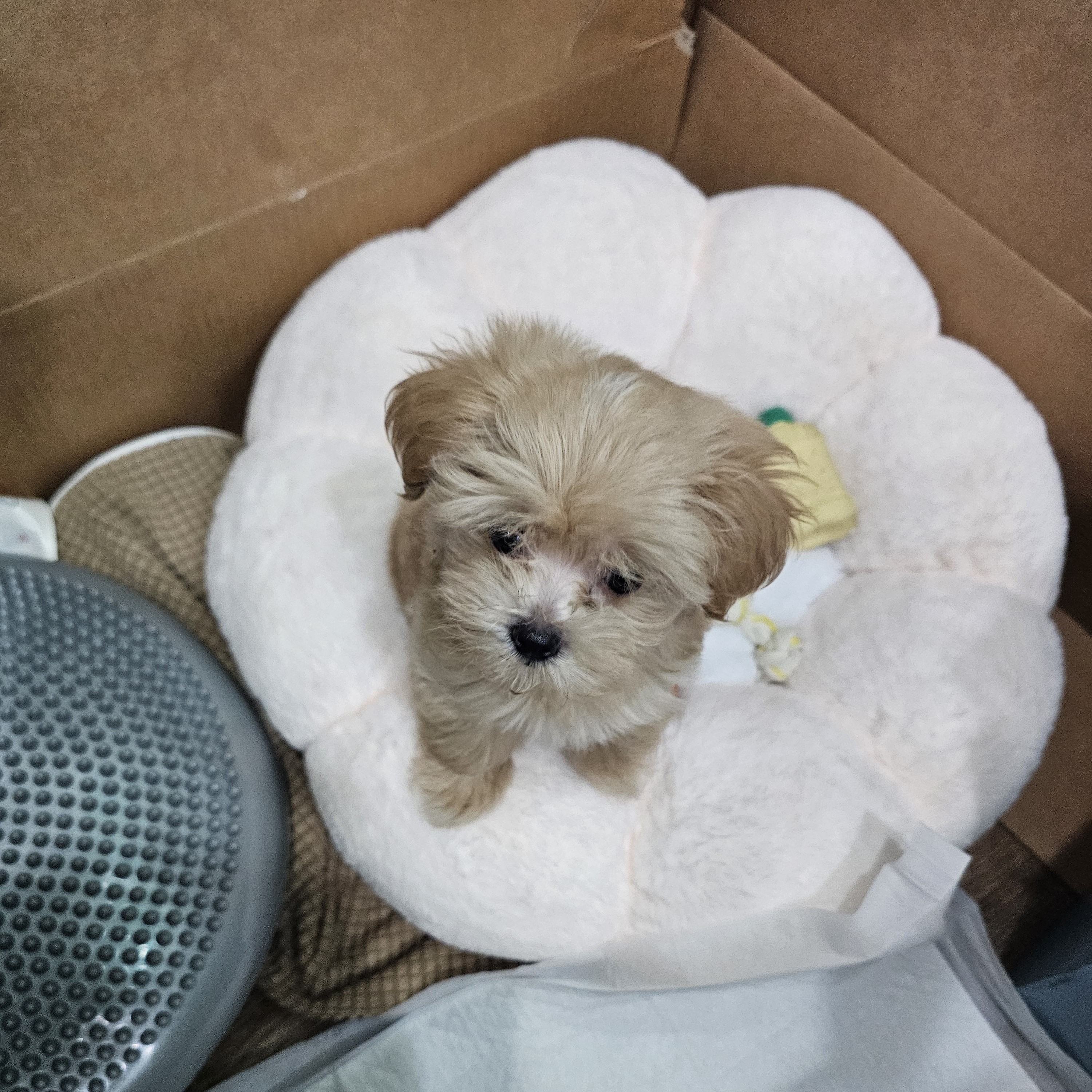 최장선 골프 강사 프로필 사진